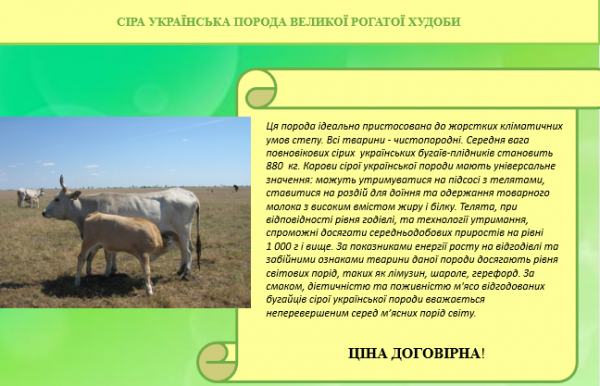 СКОТАРСТВО